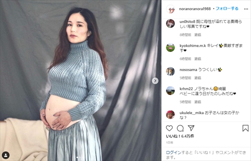 平野ノラ 妊娠 マタニティフォト anan 8カ月 おなか見せ Instagram