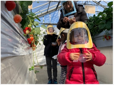 東尾理子 石田純一 子ども 新型コロナ 感染 ブログ 再開 緊急事態宣言