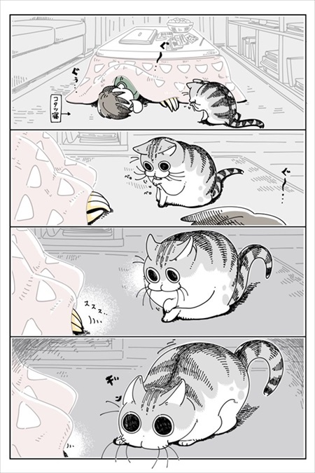 手を引っ張りだしたい猫ちゃん