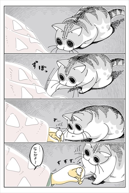 手を引っ張りだしたい猫ちゃん