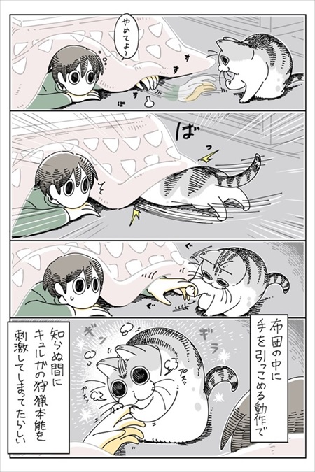 手を引っ張りだしたい猫ちゃん