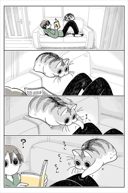 手を引っ張りだしたい猫ちゃん