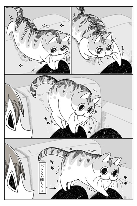 手を引っ張りだしたい猫ちゃん