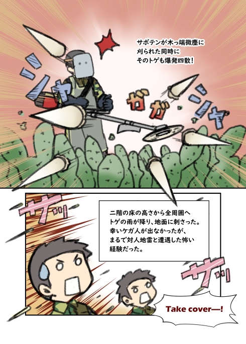 ミリタリー サボテン