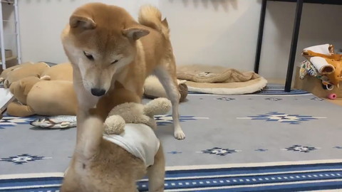 初めてのワンプロ