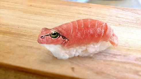 ヘンなモノ