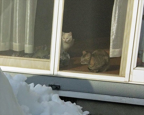 鬼滅の刃 十二鬼月 累