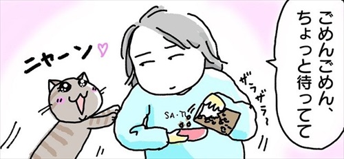 これじゃねえよ感がすごい猫ちゃん