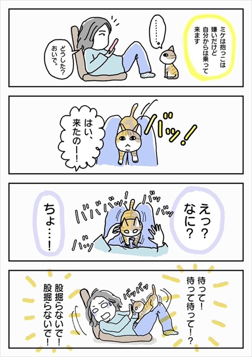 これじゃねえよ感がすごい猫ちゃん