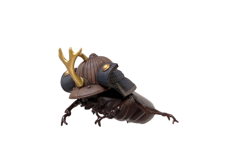 カブトムシ 兜むし 昆虫