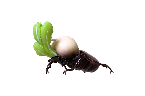 カブトムシ 兜むし 昆虫