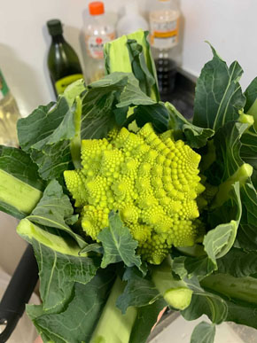 クトゥルー鍋