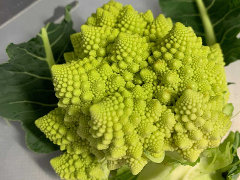クトゥルー鍋