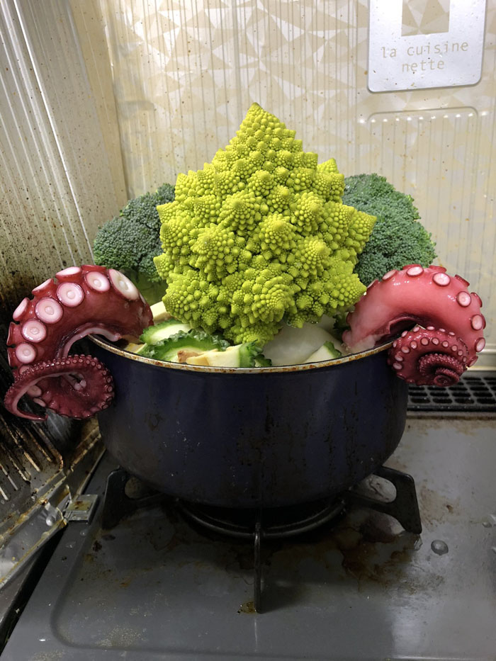 名状しがたきクトゥルー鍋のインパクトが強烈　ロマネスコのブツブツとタコの足がSAN値をゴリッと削る