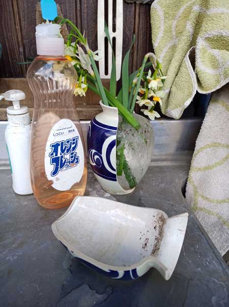 冬 寒さ 花瓶 割れた 水 凍る 膨張