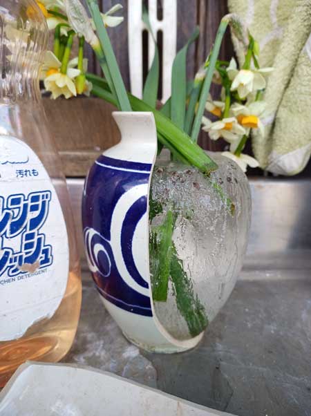 冬 寒さ 花瓶 割れた 水 凍る 膨張