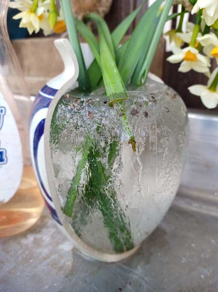 冬 寒さ 花瓶 割れた 水 凍る 膨張