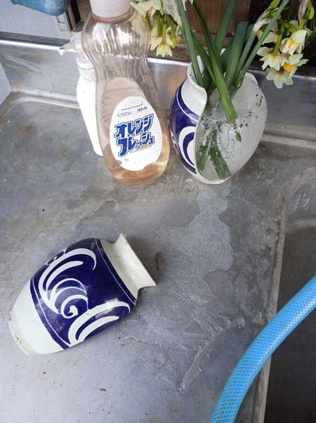 冬 寒さ 花瓶 割れた 水 凍る 膨張