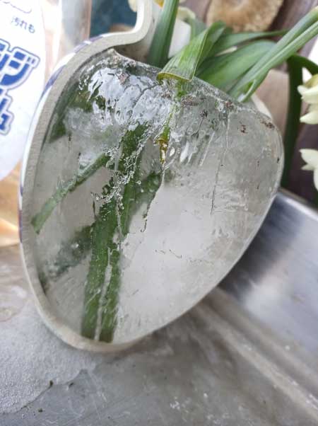 冬 寒さ 花瓶 割れた 水 凍る 膨張
