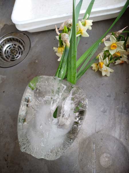 冬 寒さ 花瓶 割れた 水 凍る 膨張