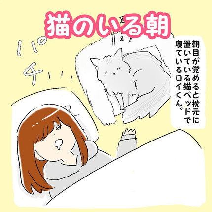 「猫のいる朝」
