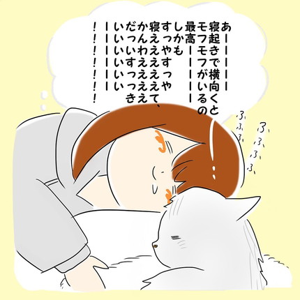 「猫のいる朝」