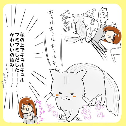「猫のいる朝」