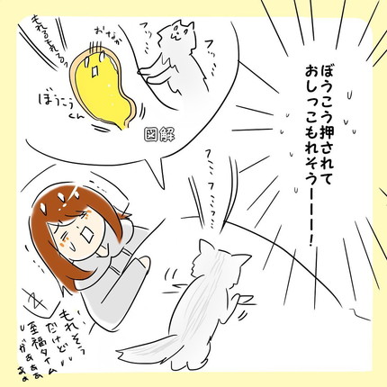 「猫のいる朝」