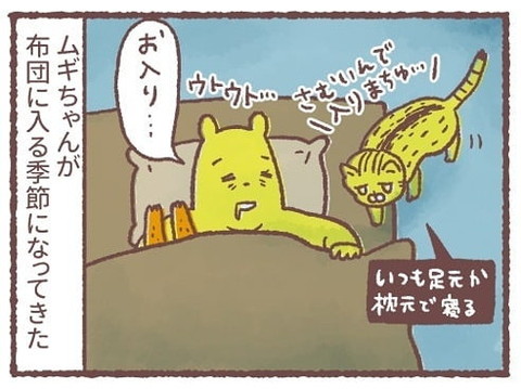 「まぼろしおムギ」