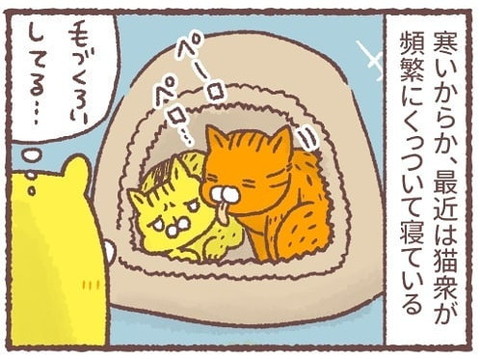 「年長者の余裕」