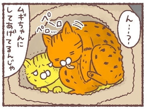 「年長者の余裕」