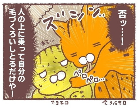 「年長者の余裕」