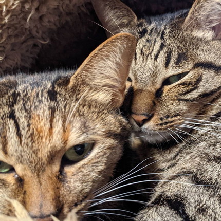 「年長者の余裕」