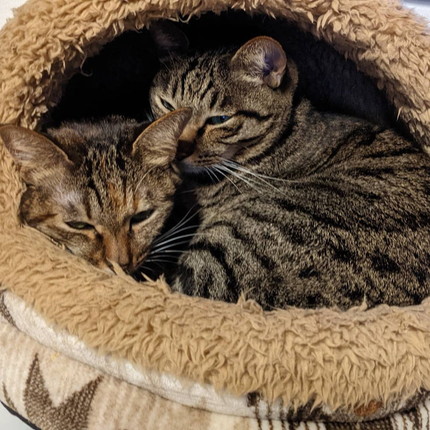 「年長者の余裕」