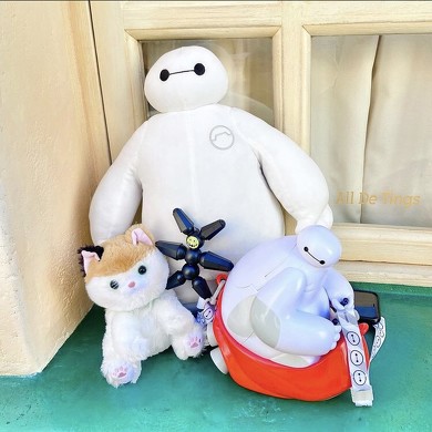 ベイマックスバウンド