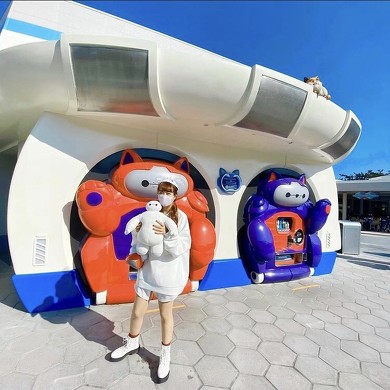 ベイマックスバウンド