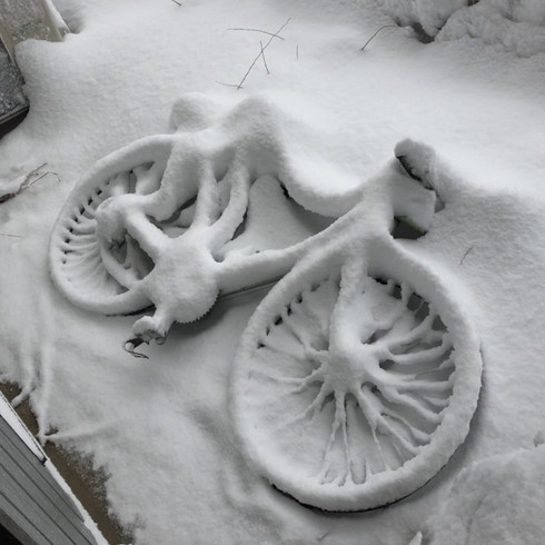 富山 積雪