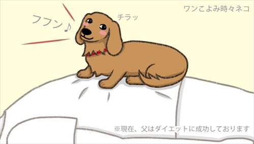 犬