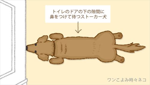 犬