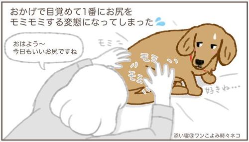 犬