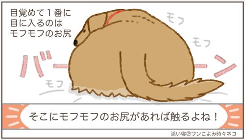 犬