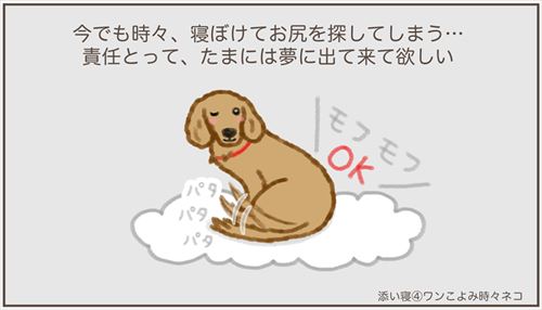 犬