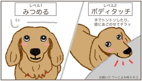 犬