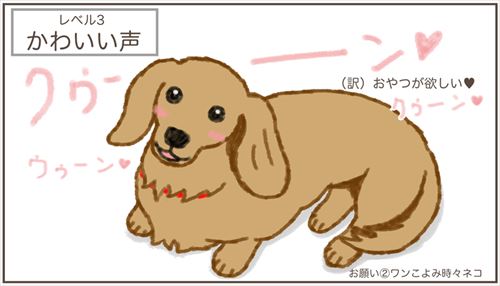 犬