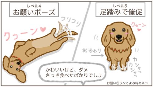 犬