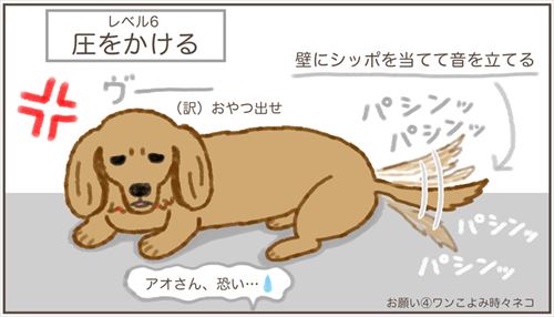 犬