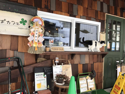 なっぱカフェとハチくん