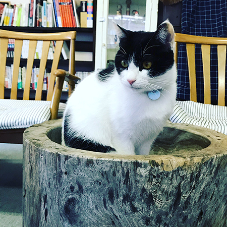 ハチくんアップめ