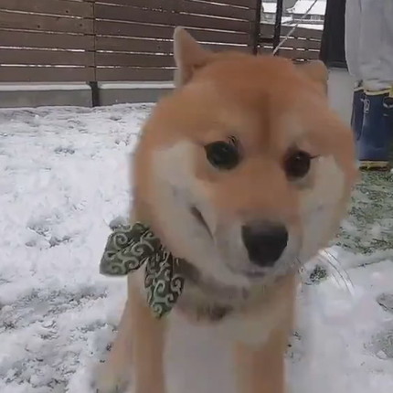 大喜びのおにぎりくん