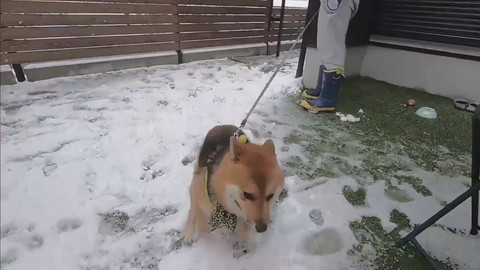 大喜びのおにぎりくん